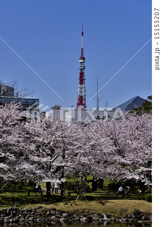 旧芝離宮庭園と東京タワー 15155207
