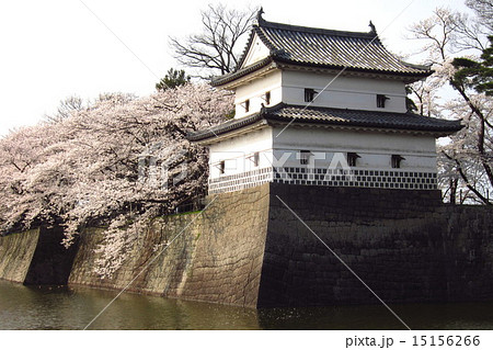 新発田城の春 15156266