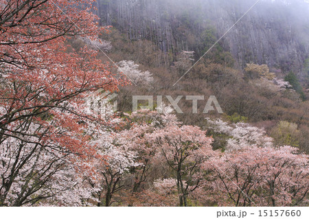 屏風岩 15157660