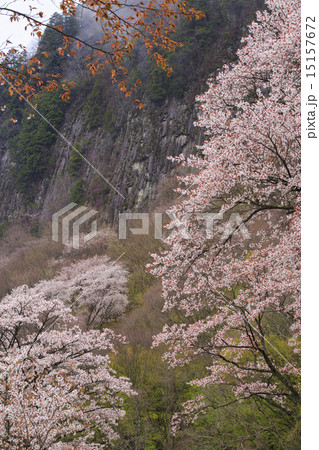 屏風岩 15157672