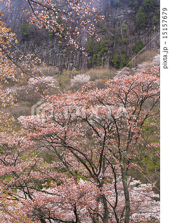 屏風岩 15157679