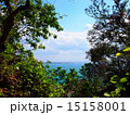 森の先には美しい海 15158001