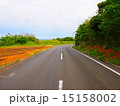 どこまでも続く道 15158002