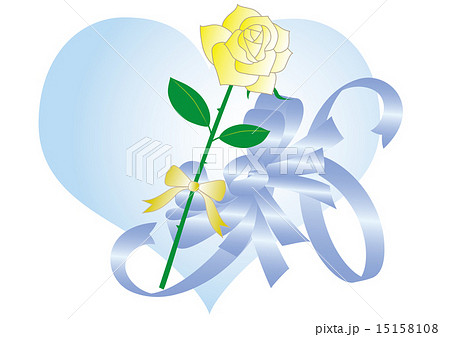 父の日の白バラ 15158108