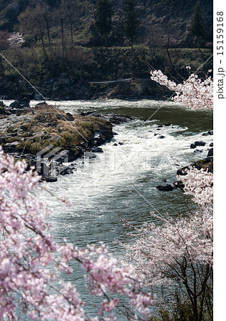 稚児舞台公園 稚児舞台公園 15159168