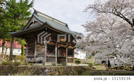 信州小布施岩松院と桜 15159236