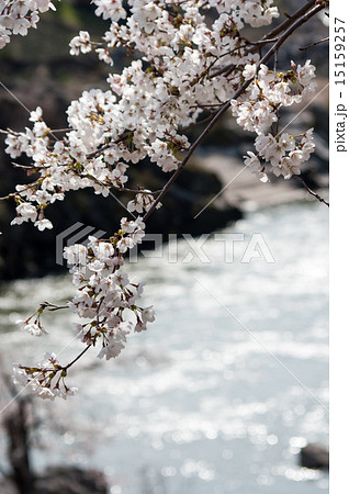 稚児舞台公園 15159257