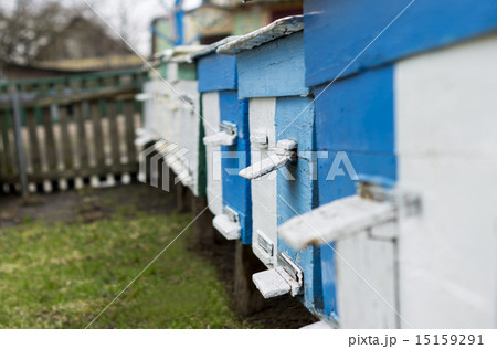 apiary. For your commercial and editorial use apiary. For your commercial and editorial use 15159291