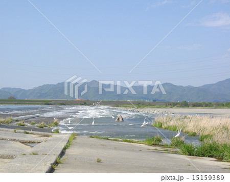 徳島吉野川堰 徳島吉野川堰 15159389