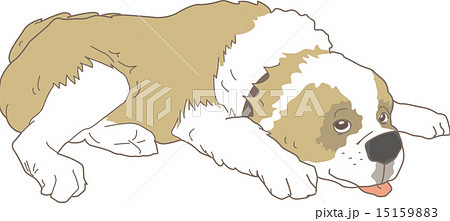 Dog Saint Bernard (Real) 15159883