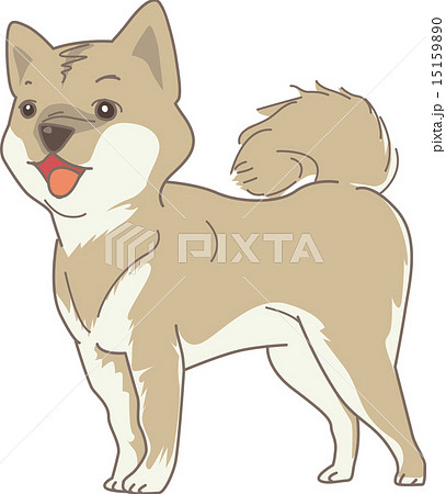 Dog Shiba Real のイラスト素材