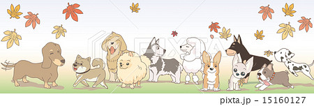 November Dogs November Dogs 15160127
