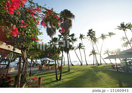 カリブ海 プエルトリコ 首都ポンセ近郊のリゾートホテル 15160943