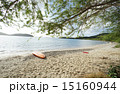 カリブ海 プエルトリコの離島 クレブラ島のプライベートビーチ 15160944