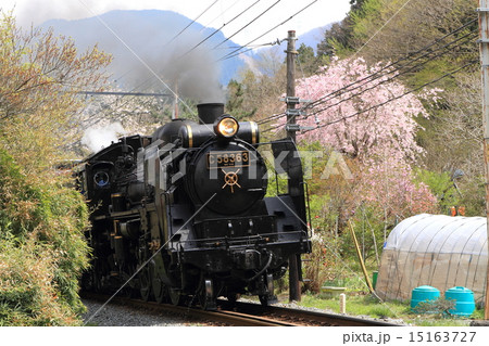 春の秩父鉄道「ローカル風景とSL」 春の秩父鉄道「ローカル風景とSL」 15163727