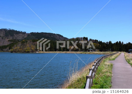 大山下池(山形県鶴岡市) 大山下池(山形県鶴岡市) 15164026