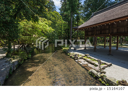 京都　上賀茂神社　ならの小川 15164107