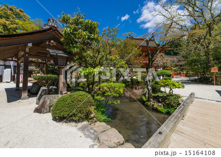 京都 上賀茂神社 御手洗川 京都 上賀茂神社 御手洗川 15164108