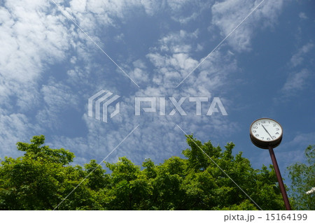 時計と空 15164199