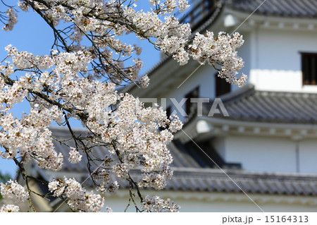 春の益岡公園　白石城三階櫓 15164313