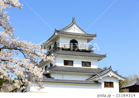 春の益岡公園　白石城三階櫓 15164314