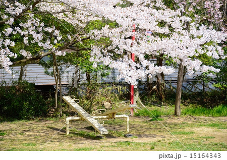 春の益岡公園 春の益岡公園 15164343