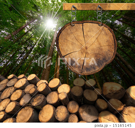 Wooden Logs with Forest and Sign 15165145