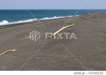シブノツナイ湖付近にて。オホーツク海と流木。 15165232
