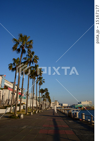 青空の下の港みち(5)(縦) 青空の下の港みち(5)(縦) 15167177