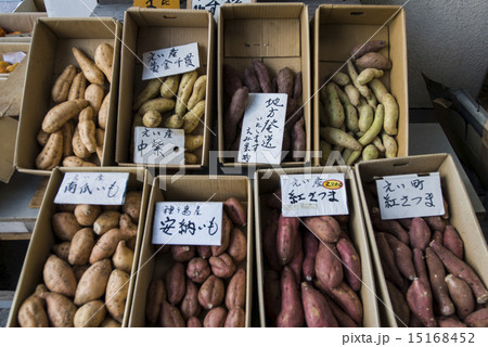さつま芋のならぶ店先 鹿児島 さつま芋のならぶ店先 鹿児島 15168452