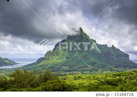 モーレア島 モーレア島 15168728