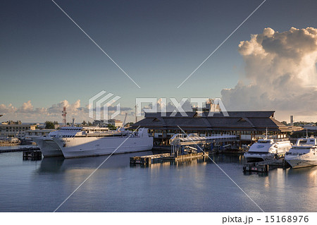 タヒチ タヒチ 15168976