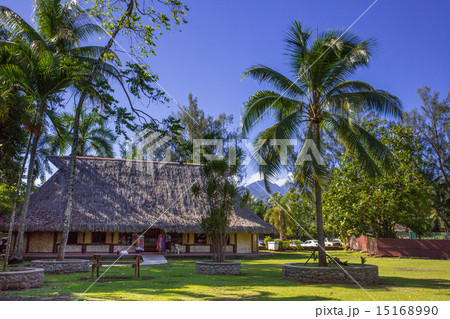 タヒチ タヒチ 15168990