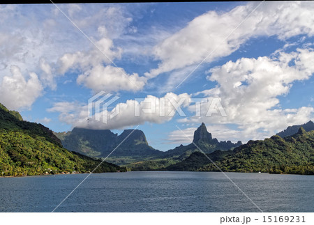 モーレア島 15169231