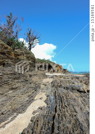 嘉陽層 地層 嘉陽層 地層 15169581