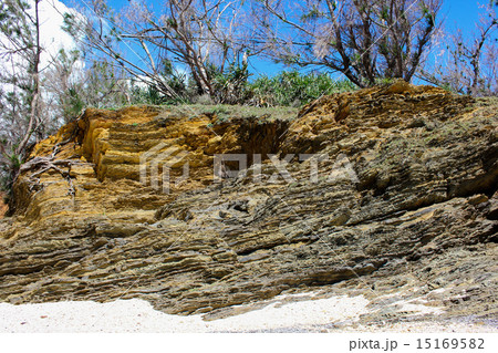 嘉陽層　地層 15169582