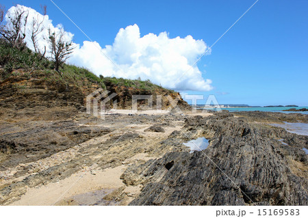 嘉陽層　地層 15169583