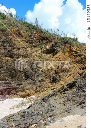 嘉陽層　地層 15169588