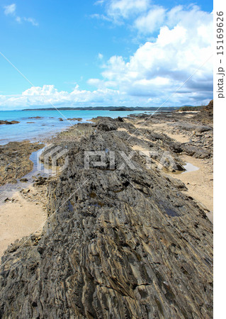 嘉陽層　地層 15169626