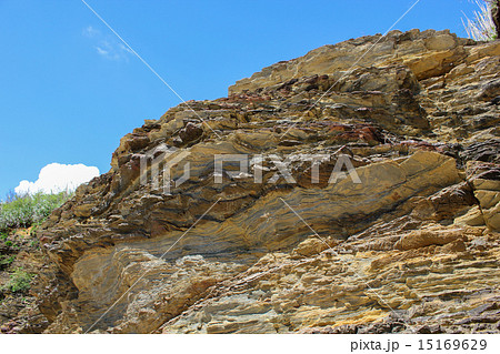 嘉陽層　地層 15169629