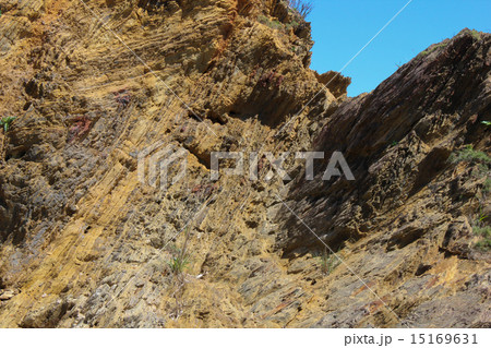 嘉陽層 地層 嘉陽層 地層 15169631