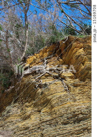 嘉陽層 地層 嘉陽層 地層 15169708