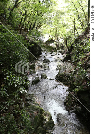 白滝公園 15169746