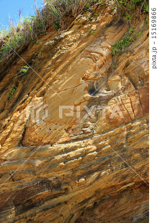 嘉陽層　地層 15169866