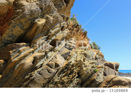 嘉陽層　地層 15169869