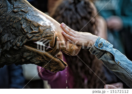 Hand touching fortune boar in Florence Hand touching fortune boar in Florence 15172112