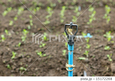 Pump head Pump head 15172268