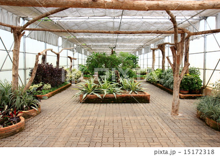 Garden building 15172318