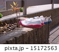 小学生男女の上靴 15172563