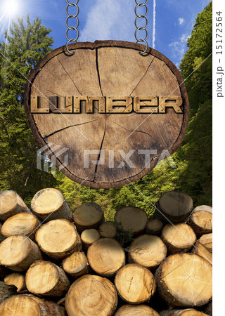 Wooden Logs with Forest and Lumber Sign 15172564